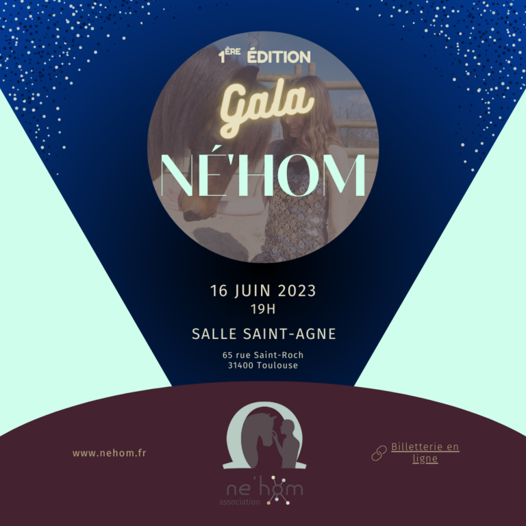 Lire la suite à propos de l’article 1ère édition du Gala de Né’Hom !