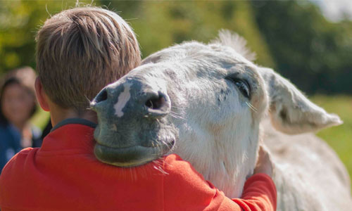 ane-allier-poids-en-cas-de-handicap-12237