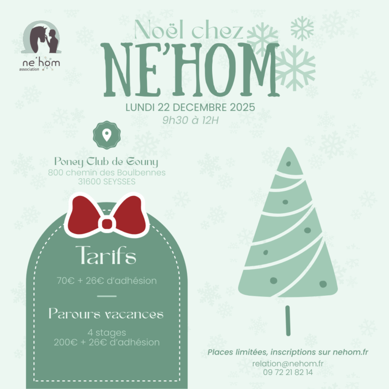 Lire la suite à propos de l’article Noël chez Né’HOM
